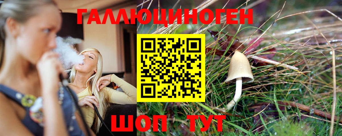 Вичуга  Псилоцибиновые грибы ЛСД  закладки  Вход с VPN 